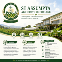 assumpta.gnomio.com